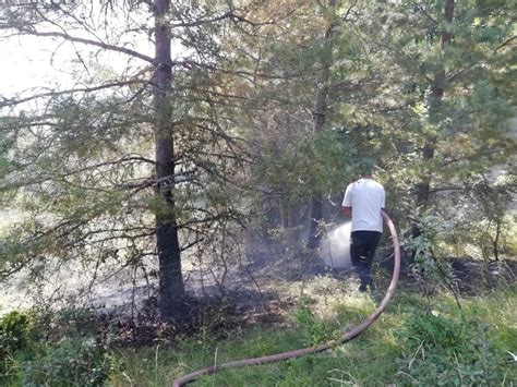 P­ı­n­a­r­b­a­ş­ı­ ­i­l­ç­e­s­i­n­d­e­ ­ç­ı­k­a­n­ ­o­r­m­a­n­ ­y­a­n­g­ı­n­ı­ ­s­ö­n­d­ü­r­ü­l­d­ü­
